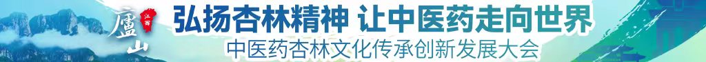 国产性爱大片老太太版中医药杏林文化传承创新发展大会